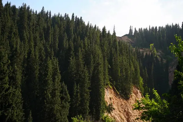 Aksai Boğazı. Farklı bitki örtüsü olan dağlık bir bölge. Tian Shan Dağları.
