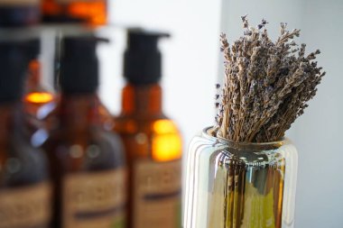 Yumuşak mor tonlu kurutulmuş lavanta buketi. Doğal ev dekorasyonu, sakin ve rahat bir atmosfer yaratmak için mükemmel. Aromaterapi ve köy tarzı için ideal..