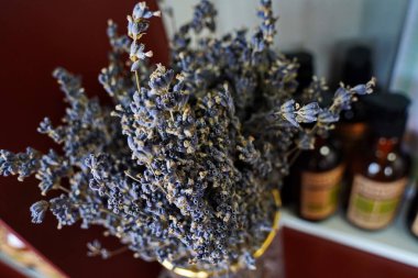 Yumuşak mor tonlu kurutulmuş lavanta buketi. Doğal ev dekorasyonu, sakin ve rahat bir atmosfer yaratmak için mükemmel. Aromaterapi ve köy tarzı için ideal..