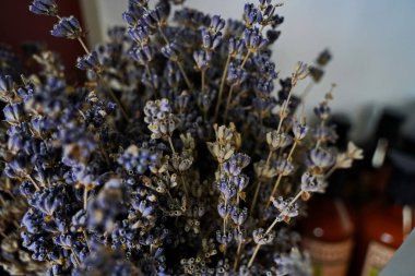 Yumuşak mor tonlu kurutulmuş lavanta buketi. Doğal ev dekorasyonu, sakin ve rahat bir atmosfer yaratmak için mükemmel. Aromaterapi ve köy tarzı için ideal..