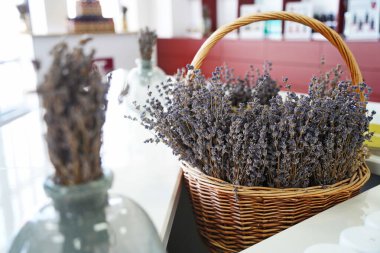 Yumuşak mor tonlu kurutulmuş lavanta buketi. Doğal ev dekorasyonu, sakin ve rahat bir atmosfer yaratmak için mükemmel. Aromaterapi ve köy tarzı için ideal..