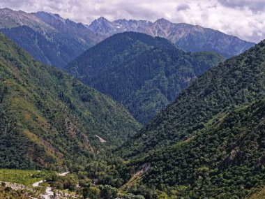 Talgar Vadisi, Tian Shan sıradağlarında çeşitli bitki örtüsüyle manzaralı bir bölge..