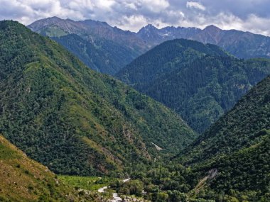 Talgar Vadisi, Tian Shan sıradağlarında çeşitli bitki örtüsüyle manzaralı bir bölge..