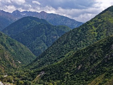 Talgar Vadisi, Tian Shan sıradağlarında çeşitli bitki örtüsüyle manzaralı bir bölge..