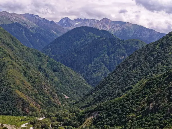 Talgar Vadisi, Tian Shan sıradağlarında çeşitli bitki örtüsüyle manzaralı bir bölge..