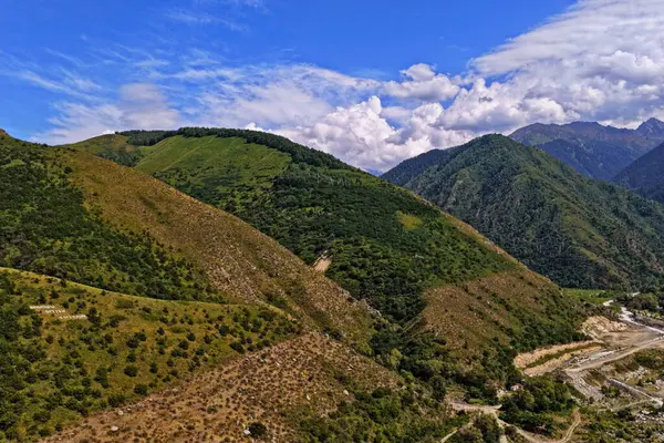 Talgar Vadisi, Tian Shan sıradağlarında çeşitli bitki örtüsüyle manzaralı bir bölge..