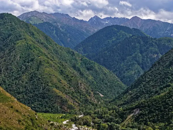 Talgar Vadisi, Tian Shan sıradağlarında çeşitli bitki örtüsüyle manzaralı bir bölge..
