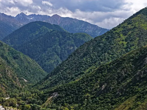 Talgar Vadisi, Tian Shan sıradağlarında çeşitli bitki örtüsüyle manzaralı bir bölge..