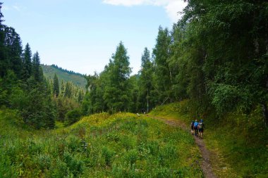 Almaty, Kazakistan - 07.11.2025: Turistler Ile-Alatau Milli Parkı 'nda yürüyüş yapıyorlar. Almaty yakınlarında farklı bitki örtüsü olan dağlık bir bölge. Tian Shan Dağları.