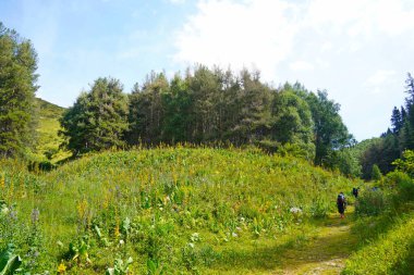 Almaty, Kazakistan - 07.11.2025: Turistler Ile-Alatau Milli Parkı 'nda yürüyüş yapıyorlar. Almaty yakınlarında farklı bitki örtüsü olan dağlık bir bölge. Tian Shan Dağları.