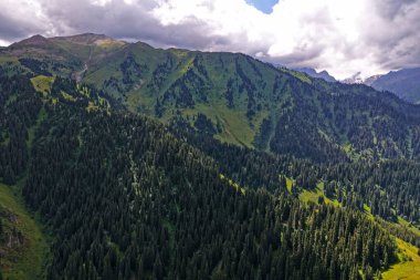 Ile-Alatau Ulusal Parkı. Almaty yakınlarında farklı bitki örtüsü olan dağlık bir bölge. Tian Shan Dağları.