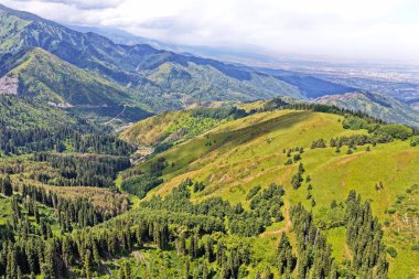 Ile-Alatau Ulusal Parkı. Almaty yakınlarında farklı bitki örtüsü olan dağlık bir bölge. Tian Shan Dağları.
