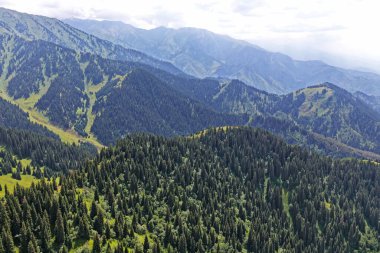 Ile-Alatau Ulusal Parkı. Almaty yakınlarında farklı bitki örtüsü olan dağlık bir bölge. Tian Shan Dağları.
