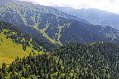 Ile-Alatau Ulusal Parkı. Almaty yakınlarında farklı bitki örtüsü olan dağlık bir bölge. Tian Shan Dağları.
