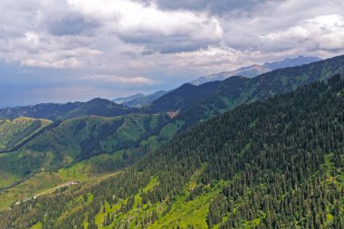 Ile-Alatau Ulusal Parkı. Almaty yakınlarında farklı bitki örtüsü olan dağlık bir bölge. Tian Shan Dağları.