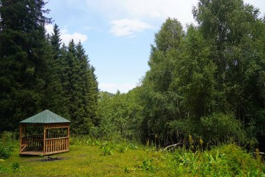 Ile-Alatau Ulusal Parkı. Almaty yakınlarında farklı bitki örtüsü olan dağlık bir bölge. Tian Shan Dağları.