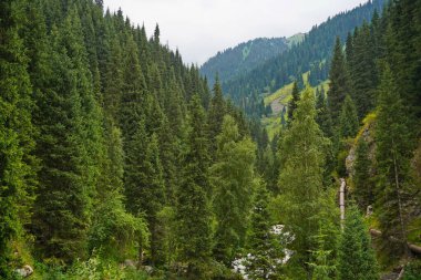 Alma-Arasan Boğazı. Ile-Alatau Ulusal Parkı. Farklı bitki örtüsüne ve nehirlere sahip dağlık arazi.