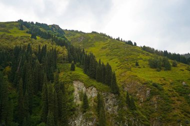 Alma-Arasan Boğazı. Ile-Alatau Ulusal Parkı. Farklı bitki örtüsüne ve nehirlere sahip dağlık arazi.