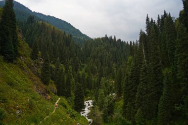 Alma-Arasan Boğazı. Ile-Alatau Ulusal Parkı. Farklı bitki örtüsüne ve nehirlere sahip dağlık arazi.