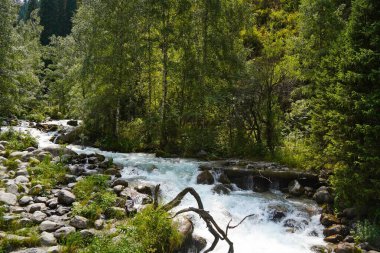 Alma-Arasan geçidinde kaya parçaları olan bir dağ nehri. Ile-Alatau Milli Parkı.