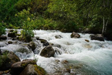 Alma-Arasan geçidinde kaya parçaları olan bir dağ nehri. Ile-Alatau Milli Parkı.