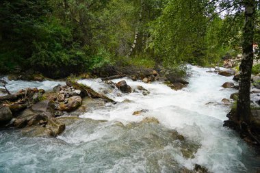 Alma-Arasan geçidinde kaya parçaları olan bir dağ nehri. Ile-Alatau Milli Parkı.