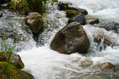 Alma-Arasan geçidinde kaya parçaları olan bir dağ nehri. Ile-Alatau Milli Parkı.