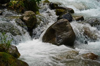 Alma-Arasan geçidinde kaya parçaları olan bir dağ nehri. Ile-Alatau Milli Parkı.