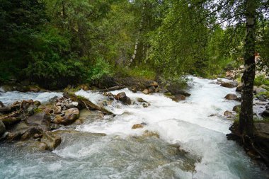 Alma-Arasan geçidinde kaya parçaları olan bir dağ nehri. Ile-Alatau Milli Parkı.
