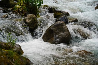 Alma-Arasan geçidinde kaya parçaları olan bir dağ nehri. Ile-Alatau Milli Parkı.