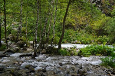 Alma-Arasan geçidinde kaya parçaları olan bir dağ nehri. Ile-Alatau Milli Parkı.