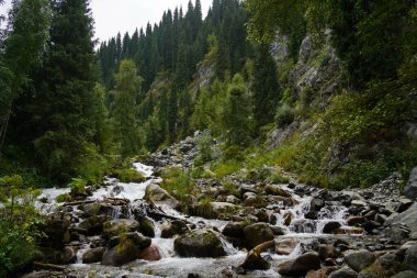 Alma-Arasan geçidinde kaya parçaları olan bir dağ nehri. Ile-Alatau Milli Parkı.