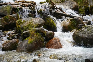 Alma-Arasan geçidinde kaya parçaları olan bir dağ nehri. Ile-Alatau Milli Parkı.
