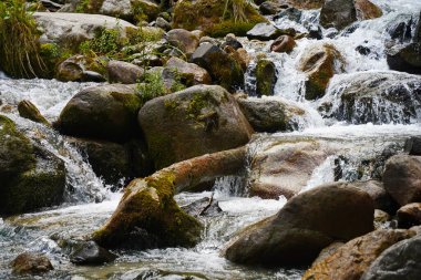 Alma-Arasan geçidinde kaya parçaları olan bir dağ nehri. Ile-Alatau Milli Parkı.