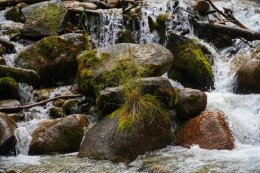 Alma-Arasan geçidinde kaya parçaları olan bir dağ nehri. Ile-Alatau Milli Parkı.