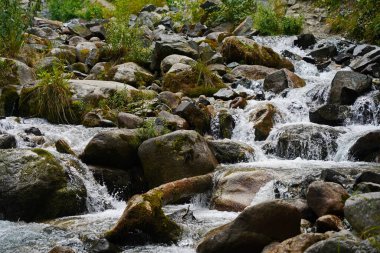 Alma-Arasan geçidinde kaya parçaları olan bir dağ nehri. Ile-Alatau Milli Parkı.