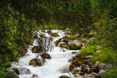 Alma-Arasan geçidinde kaya parçaları olan bir dağ nehri. Ile-Alatau Milli Parkı.
