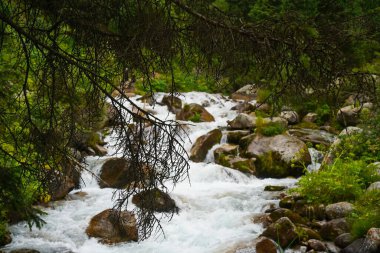 Alma-Arasan geçidinde kaya parçaları olan bir dağ nehri. Ile-Alatau Milli Parkı.