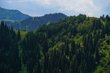 Ile-Alatau Ulusal Parkı. Oi-Karagai Geçidi. Farklı bitki örtüsü olan dağlık bir bölge. İnsansız hava aracının görüntüsü.