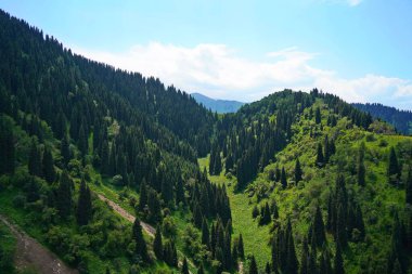 Ile-Alatau Ulusal Parkı. Oi-Karagai Geçidi. Farklı bitki örtüsü olan dağlık bir bölge. İnsansız hava aracının görüntüsü.