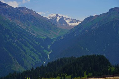 Ile-Alatau Ulusal Parkı. Oi-Karagai Geçidi. Farklı bitki örtüsü olan dağlık bir bölge. İnsansız hava aracının görüntüsü.