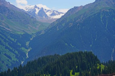 Ile-Alatau Ulusal Parkı. Oi-Karagai Geçidi. Farklı bitki örtüsü olan dağlık bir bölge. İnsansız hava aracının görüntüsü.