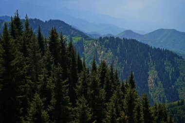 Ile-Alatau Ulusal Parkı. Oi-Karagai Geçidi. Farklı bitki örtüsü olan dağlık bir bölge. İnsansız hava aracının görüntüsü.