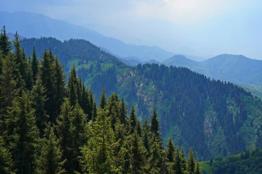 Ile-Alatau Ulusal Parkı. Oi-Karagai Geçidi. Farklı bitki örtüsü olan dağlık bir bölge. İnsansız hava aracının görüntüsü.