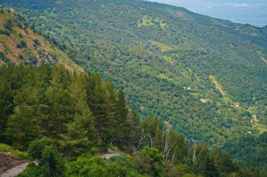 Ile-Alatau Ulusal Parkı. Oi-Karagai Geçidi. Farklı bitki örtüsü olan dağlık bir bölge. İnsansız hava aracının görüntüsü.