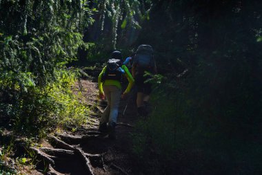 Almaty, Kazakistan - 07.12.2025: Turistler farklı bitki örtüsüne sahip dağlık bir bölgede yürüyüş yapıyorlar. Tien Shan.