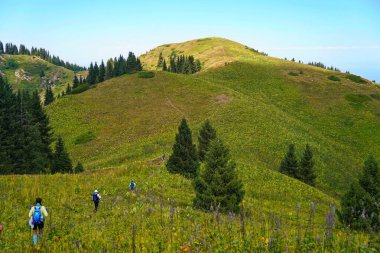 Almaty, Kazakistan - 07.12.2025: Turistler farklı bitki örtüsüne sahip dağlık bir bölgede yürüyüş yapıyorlar. Tien Shan.