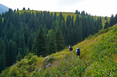 Almaty, Kazakistan - 07.12.2025: Turistler farklı bitki örtüsüne sahip dağlık bir bölgede yürüyüş yapıyorlar. Tien Shan.