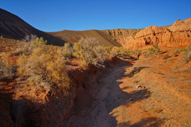 Boguta 'nın Kızıl Dağları. Dağlık kil arazisi. Yaz akşamı vakti. Ulusal Doğa Parkı.