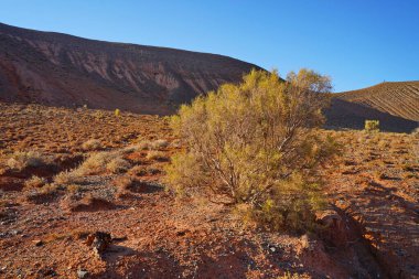 Boguta 'nın Kızıl Dağları. Dağlık kil arazisi. Yaz akşamı vakti. Ulusal Doğa Parkı.